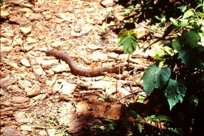PICT0147.JPG