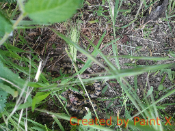 IMG_20150508_115839 b.png